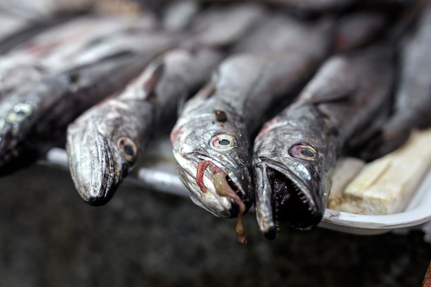 Традиционный Рынок ассорти из рыбы