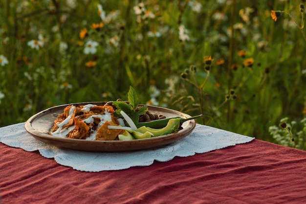 Traditional Mexican chilaquiles recipe with red sauce green chile epazote onion and beans