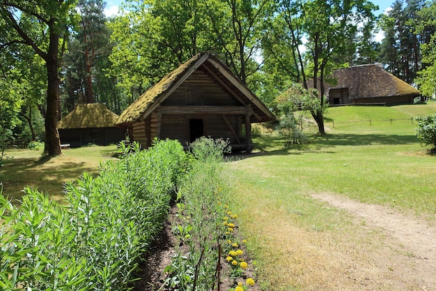 Traditional old wooden houses with reed roof in Latvia