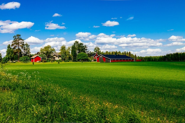 Photo traditional red farm house barn with white trim in open pasture with blue sky in rural finland