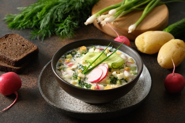 Traditional russian cold okroshka soup with kefir