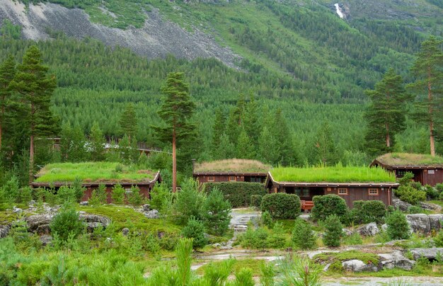 Photo traditional scandinavian houses with roofs covered with grass and moss