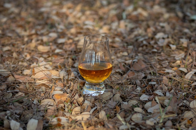 Традиционный односолодовый шотландский виски в стакане Glencairn в выборочном фокусе