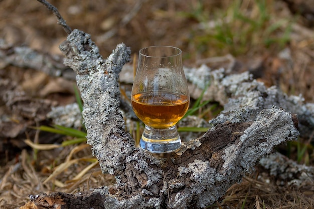 Традиционный односолодовый шотландский виски в стакане Glencairn в выборочном фокусе