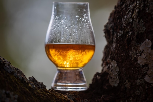 Traditional Single malt Scotch whiskey in the Glencairn glass in selective focus