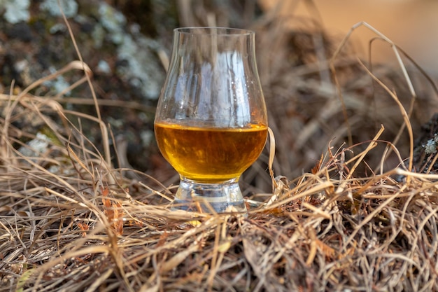伝統的なシングルマルト・スコットランド・ウイスキー (Glencairn glass)
