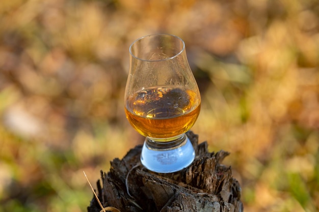 Traditional Single malt Scotch whiskey in the Glencairn glass in selective focus