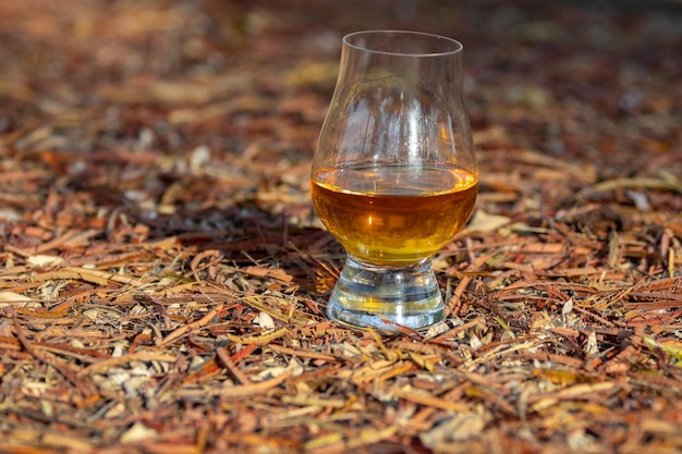 Традиционный одиночный солодный шотландский виски в стакане Glencairn в выборочной фокусировке