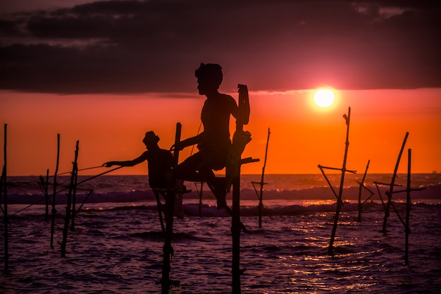 Traditional stilt fisherman in Sri Lanka