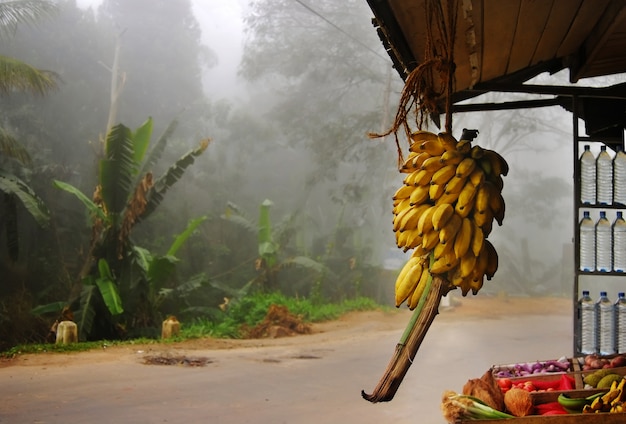 Mercato della frutta di strada tradizionale in mezzo alla strada