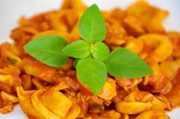 Traditional stuffed capeletti pasta with tomato sauce served on a white plate