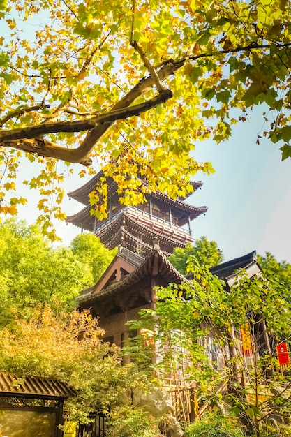 日本の紅葉を持つ大阪の伝統的な寺院の神社建築中国の紅葉。