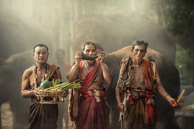 Uomini tailandesi tradizionali con elefanti