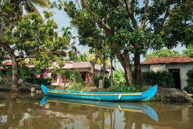 Barche turistiche tradizionali nelle lagune di alleppey, kerala, india