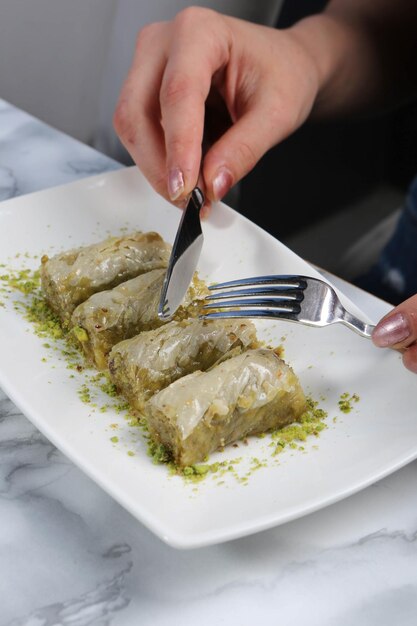 Traditional turkish dessert baklava with cashew walnuts Homemade baklava with nuts and honey