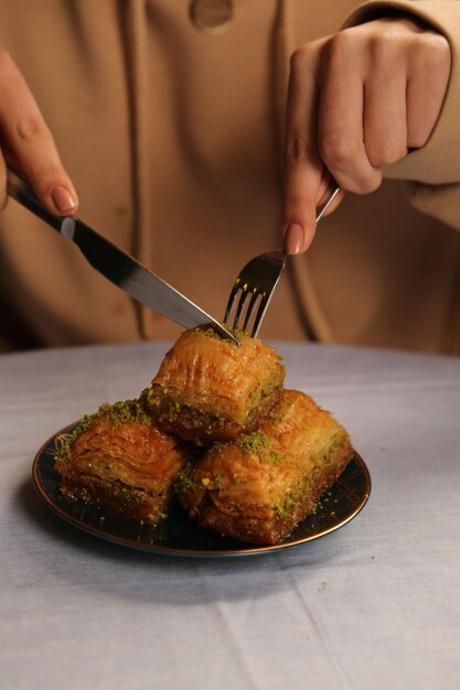 Traditional turkish dessert baklava with cashew, walnuts. Homemade baklava with nuts and honey.