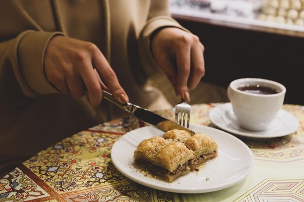 Traditional turkish dessert baklava with cashew, walnuts. Homemade baklava with nuts and honey.