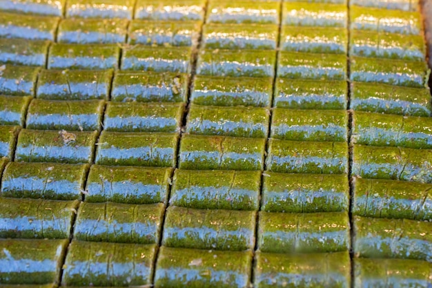 Traditional Turkish dessert Baklavain tray from Turkey