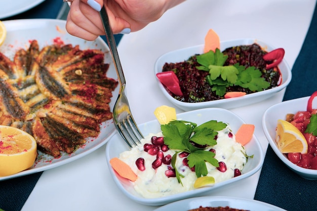 Traditional Turkish and Greek dinner meze table