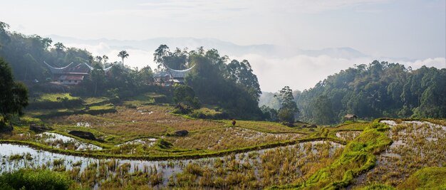 Photo traditional village, tana toraja