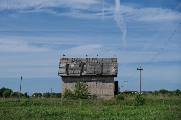 Традиционная ветряная мельница на поле на фоне неба