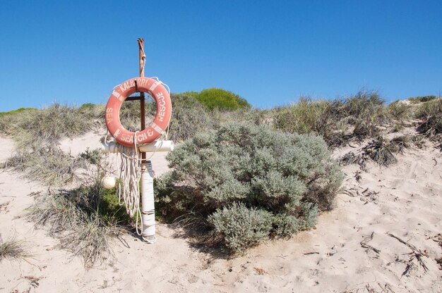 Foto tradizionale mulino a vento sul paesaggio contro un cielo blu limpido