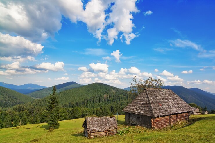 Фотография традиционный деревянный дом в горах и лесу. в карпатах.