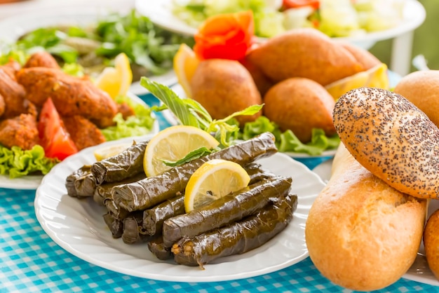 Traditioneel heerlijk Turks eten; gevulde bladeren (yaprak sarmasi)