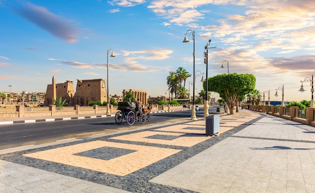 Traditionele Arabische koets met een paard op de straat van Luxor, Egypte