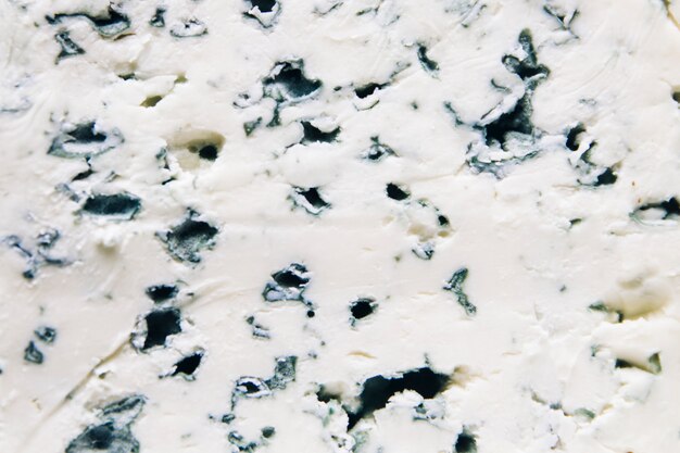 Foto traditionele blauwe kaas uit de auvergne