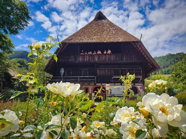 Traditionele boerderij in het Zwarte Woud