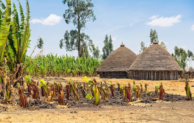 Traditionele dorpshuizen in Ethiopië