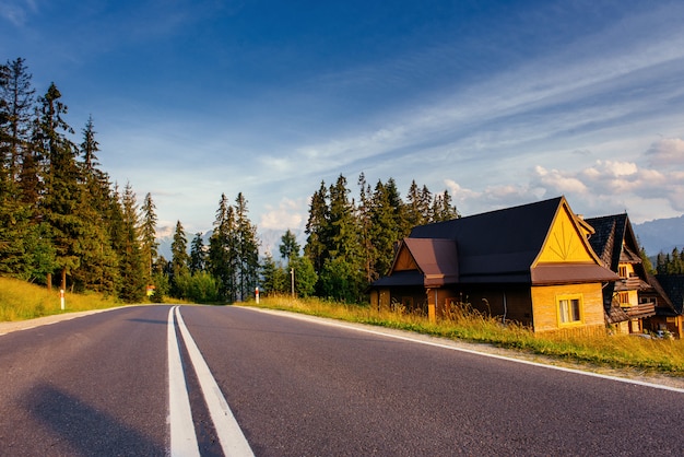 Traditionele houten huis in de bergen op een groene veld weg