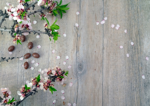 Traditionele Italiaanse Pasen met chocolade-eieren