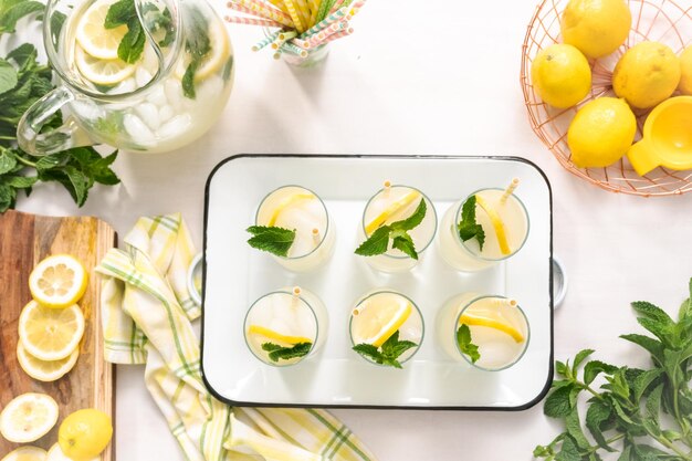 Traditionele limonade met een schijfje verse citroen en munt met papieren rietje in het glas.