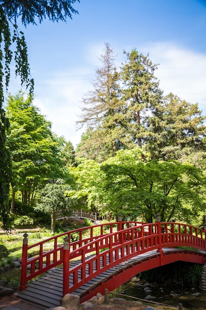 Traditionele rode houten brug op een Japanse tuinvijver