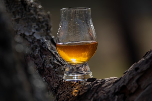 Traditionele Single malt Schotse whisky in het Glencairn-glas in selectieve focus