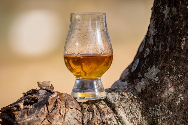 Traditionele single malt Scotch whiskey in het Glencairn-glas in selectieve focus