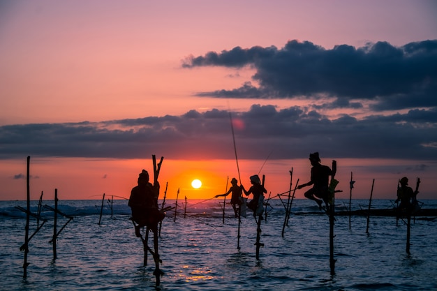 Traditionele steltenvisser in Sri Lanka