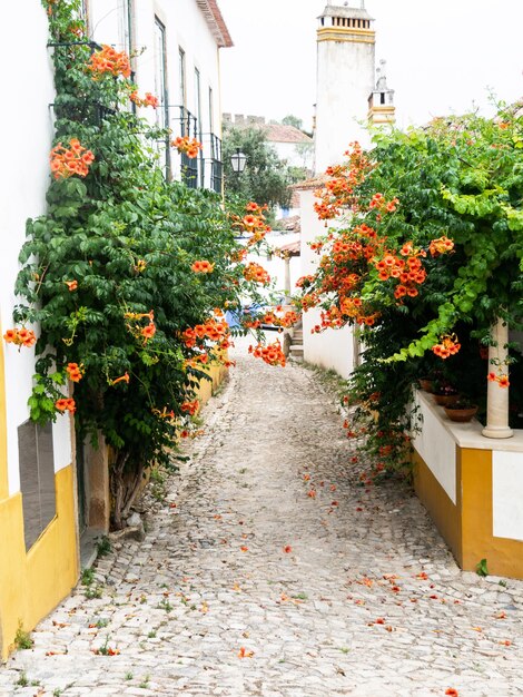 Foto traditionele witte stenen huizen met pannendaken en diverse bloeiende struiken versieren de muren van de huizen en de geplaveide weg naar beneden in de oude stad obidos, portugal