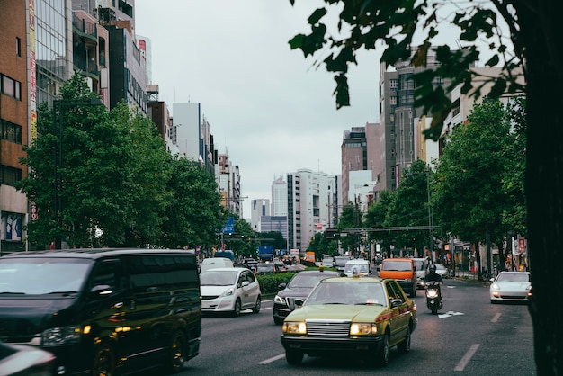 Photo traffic on a gloomy day in the city