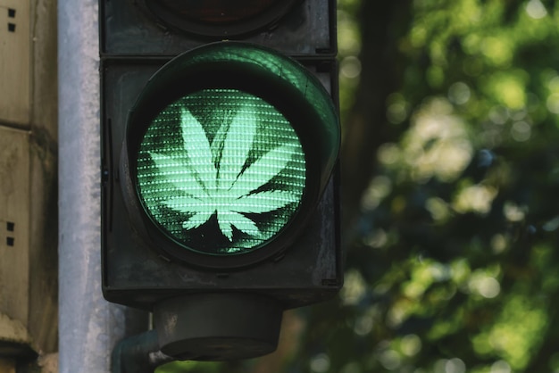 Traffic light with cannabis sign legalize it concept image