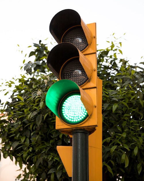 Foto semaforo con colore verde davanti all'albero verde