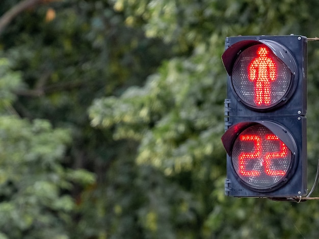 Traffic light with red light and timer on blurred background. The traffic light signals that traffic is prohibited