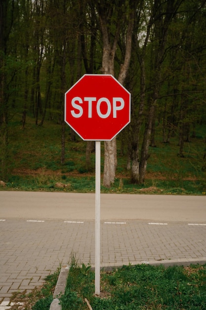 Фото Красный знак остановки на парковой аллее