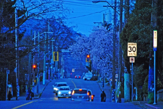 Traffic on road