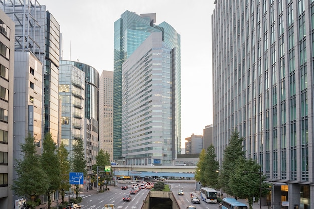 Движение по Шоу-Дори дороге является главной дорогой, которая проходит через середину Сева в Токио