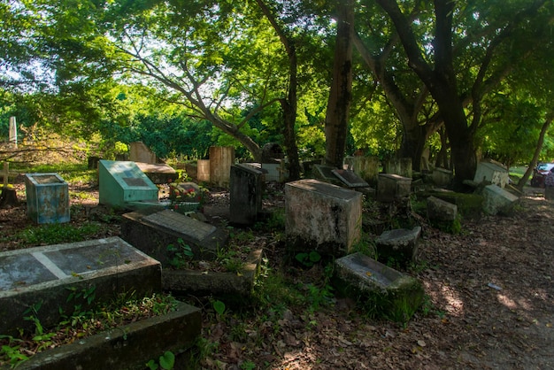 写真 コロンビアのアルメロ市の悲劇