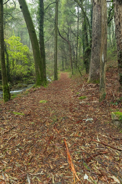 Trail along the Fraga River