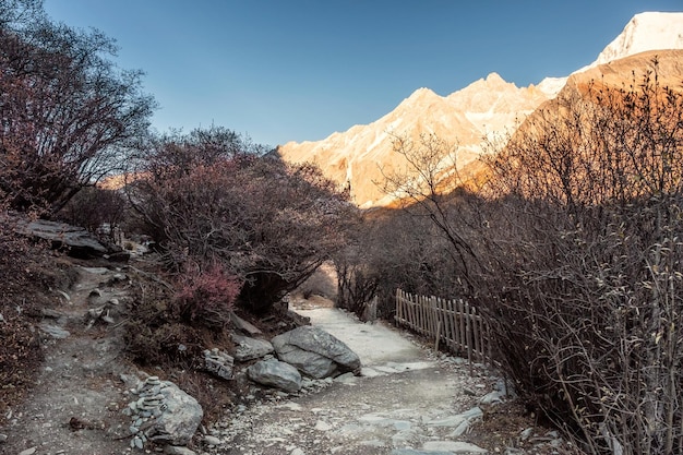 Sentiero nella valle autunnale con alba sulla catena montuosa